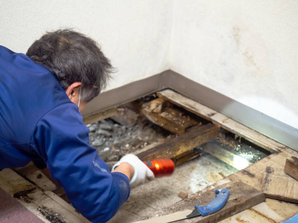 Best Crawl Space Mold Removal  in West Milton, OH