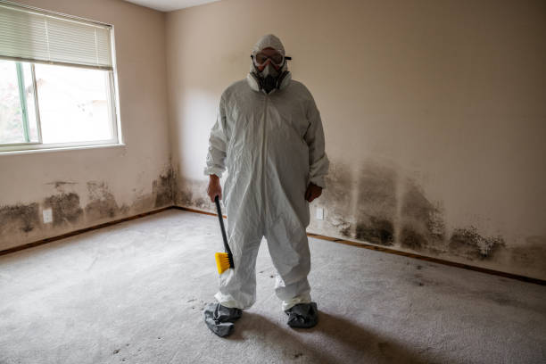 Mold Removal and Inspection in West Milton, OH